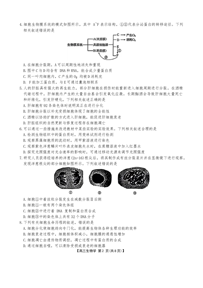 河北省金太阳2025-2026学年高三上学期9月联考生物试卷（含答案）_2025年9月_250925河北省金太阳2025-2026学年高三上学期9月联考（全科）