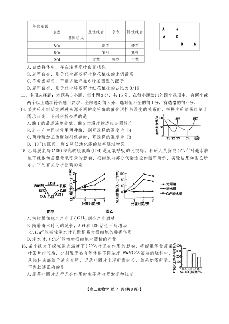 河北省金太阳2025-2026学年高三上学期9月联考生物试卷（含答案）_2025年9月_250925河北省金太阳2025-2026学年高三上学期9月联考（全科）