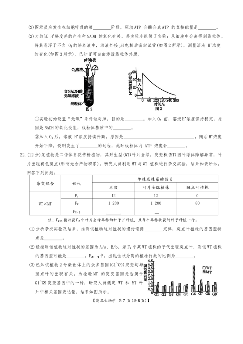 河北省金太阳2025-2026学年高三上学期9月联考生物试卷（含答案）_2025年9月_250925河北省金太阳2025-2026学年高三上学期9月联考（全科）