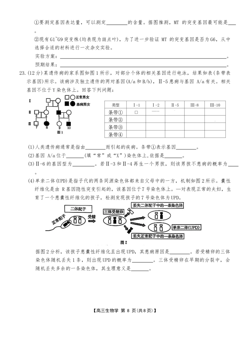河北省金太阳2025-2026学年高三上学期9月联考生物试卷（含答案）_2025年9月_250925河北省金太阳2025-2026学年高三上学期9月联考（全科）