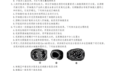 河北省金太阳2025-2026学年高三上学期9月联考生物试卷（含答案）_2025年9月_250925河北省金太阳2025-2026学年高三上学期9月联考（全科）