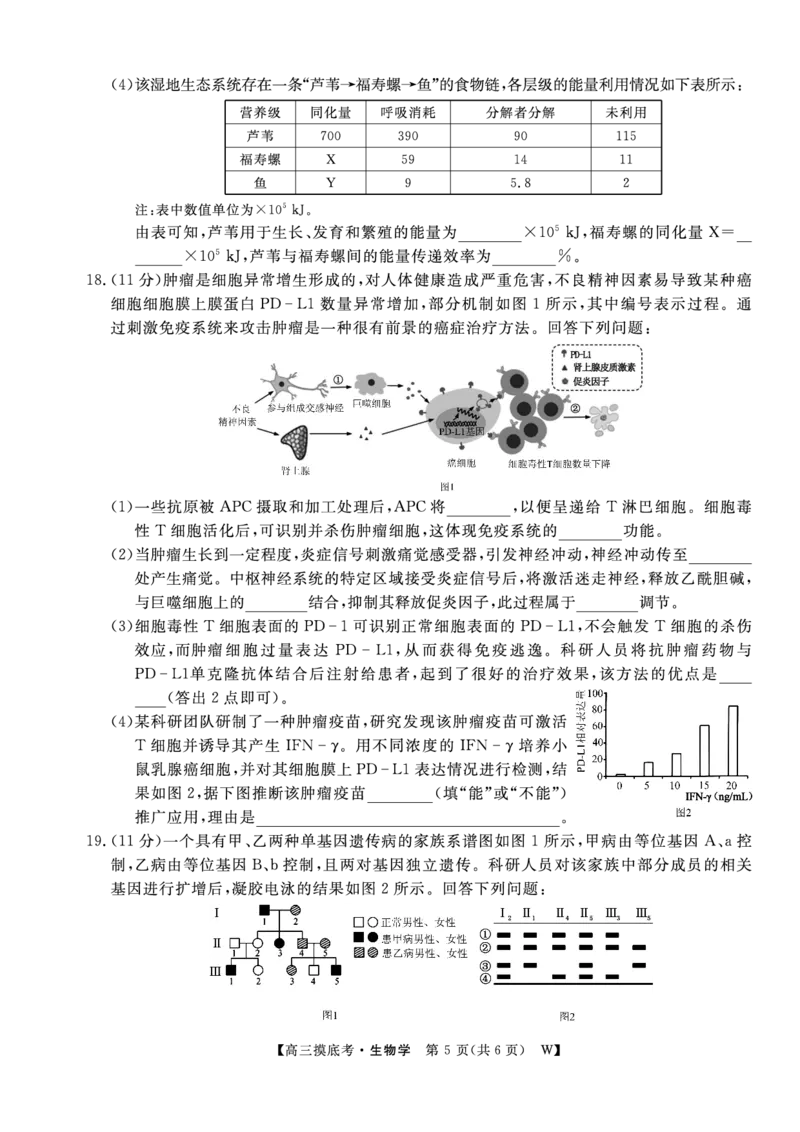 生物安徽省皖南八校2025-2026学年高三上学期8月摸底大联考_2025年8月_250830安徽省皖南八校2025-2026学年高三上学期8月摸底大联考（全科）