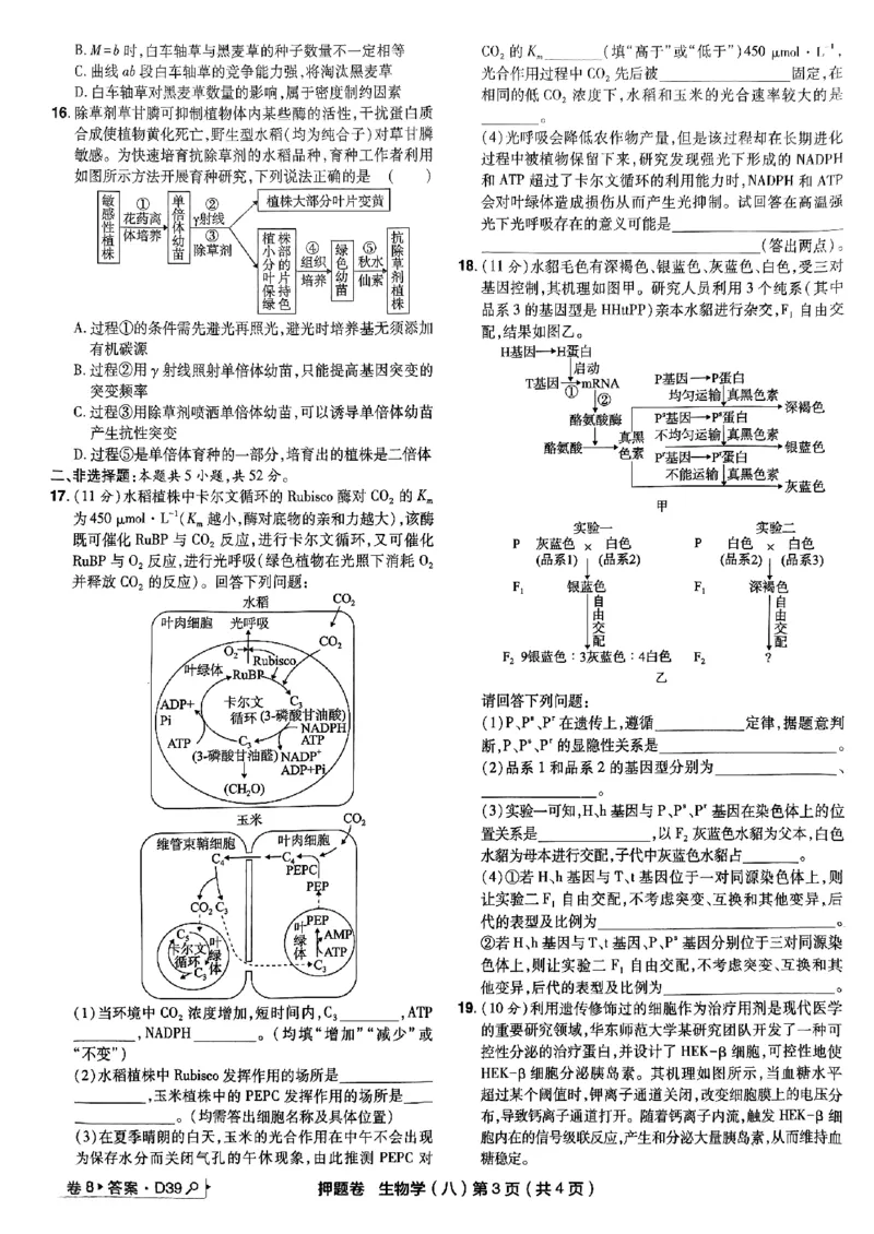 万向思维生物生物试卷合集_2024高考押题卷_112024高考快递全系列_（新高考）《万向思维&middot;高考快递高考押题卷》8套_万向思维&middot;高考快递高考押题卷8套生物