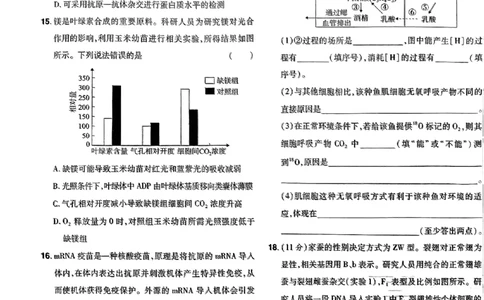 万向思维生物生物试卷合集_2024高考押题卷_112024高考快递全系列_（新高考）《万向思维&middot;高考快递高考押题卷》8套_万向思维&middot;高考快递高考押题卷8套生物