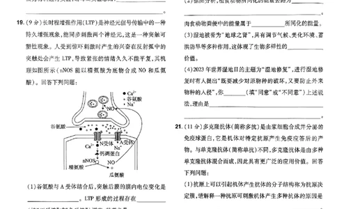 万向思维生物生物试卷合集_2024高考押题卷_112024高考快递全系列_（新高考）《万向思维&middot;高考快递高考押题卷》8套_万向思维&middot;高考快递高考押题卷8套生物