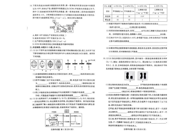 湖南名校联考联合体2026届高三上学期10月月考生物试题（含答案）_2025年10月_12026年试卷教辅资源等多个文件