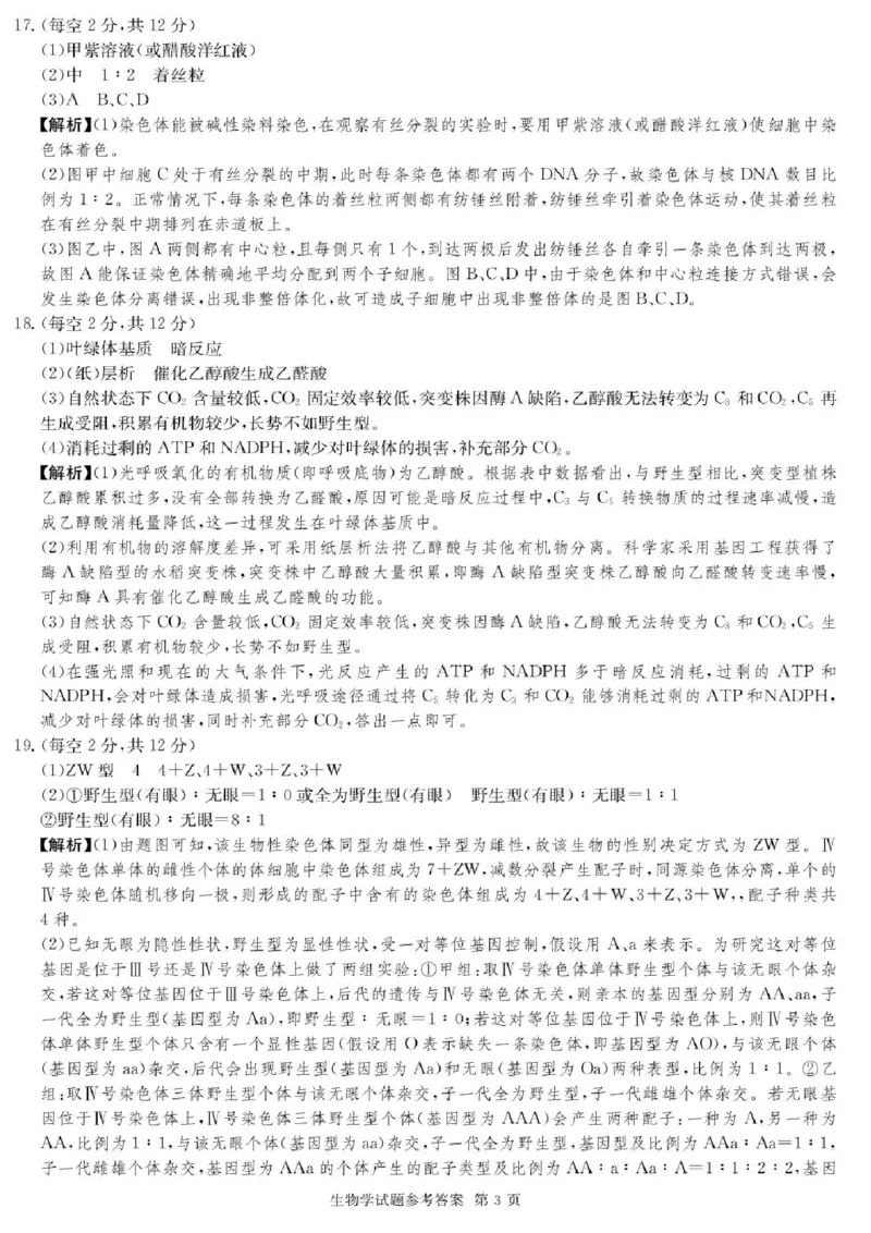 湖南名校联考联合体2026届高三上学期10月月考生物试题（含答案）_2025年10月_12026年试卷教辅资源等多个文件