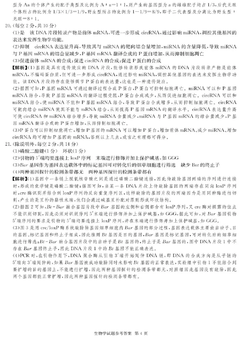 湖南名校联考联合体2026届高三上学期10月月考生物试题（含答案）_2025年10月_12026年试卷教辅资源等多个文件
