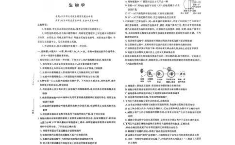 湖南名校联考联合体2026届高三上学期10月月考生物试题（含答案）_2025年10月_12026年试卷教辅资源等多个文件