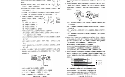 湖南名校联考联合体2026届高三上学期10月月考生物试题（含答案）_2025年10月_12026年试卷教辅资源等多个文件