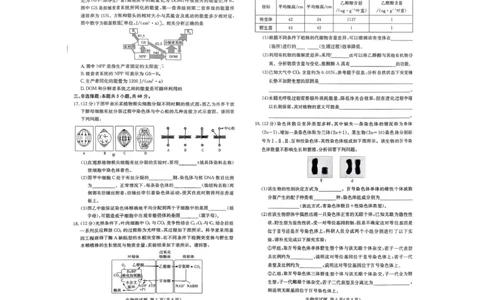 湖南名校联考联合体2026届高三上学期10月月考生物试题（含答案）_2025年10月_12026年试卷教辅资源等多个文件
