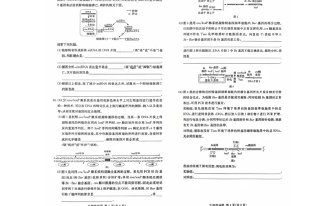 湖南名校联考联合体2026届高三上学期10月月考生物试题（含答案）_2025年10月_12026年试卷教辅资源等多个文件