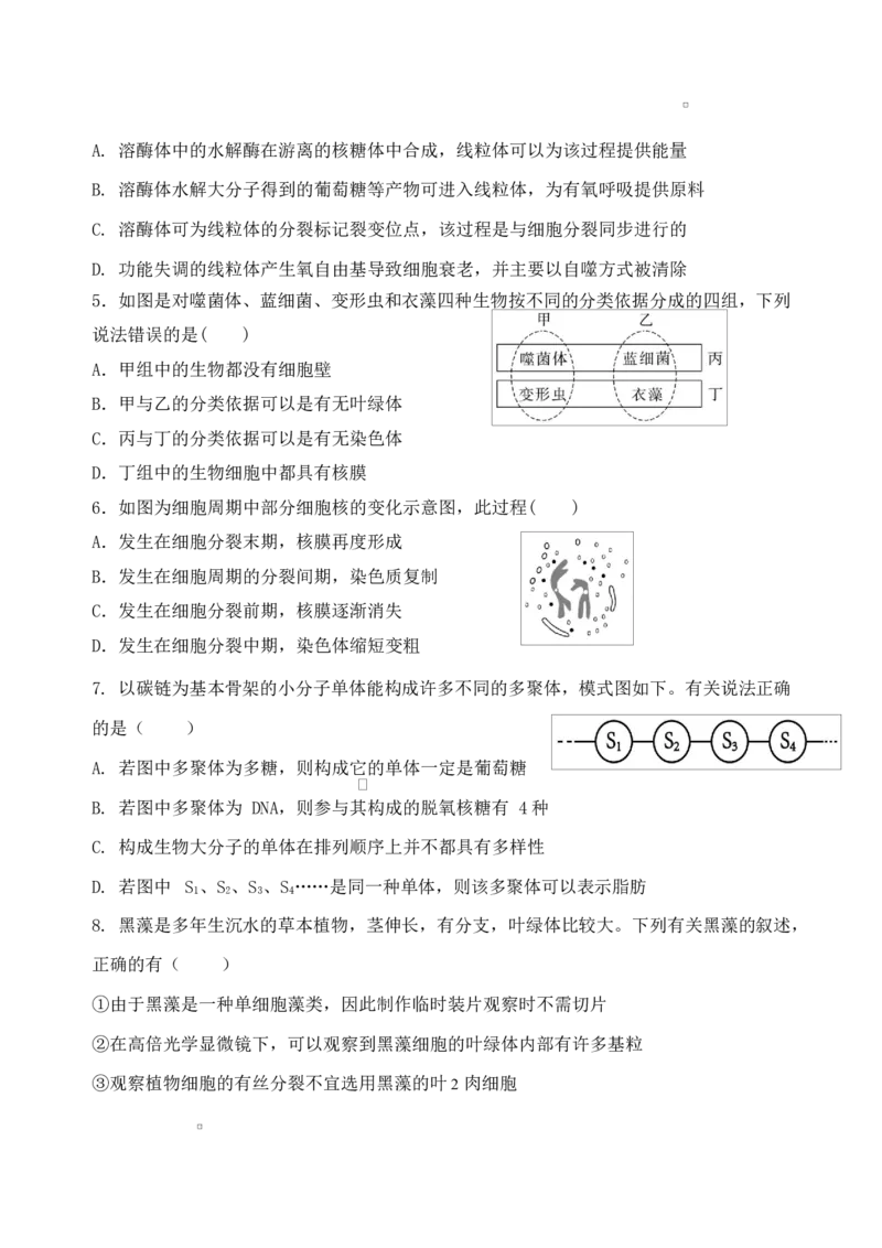 江苏省盐城市五校联考2026届高三上学期10月月考+生物_2025年10月_12026年试卷教辅资源等多个文件_251022江苏省盐城市五校联考2026届高三上学期10月月考（全科）