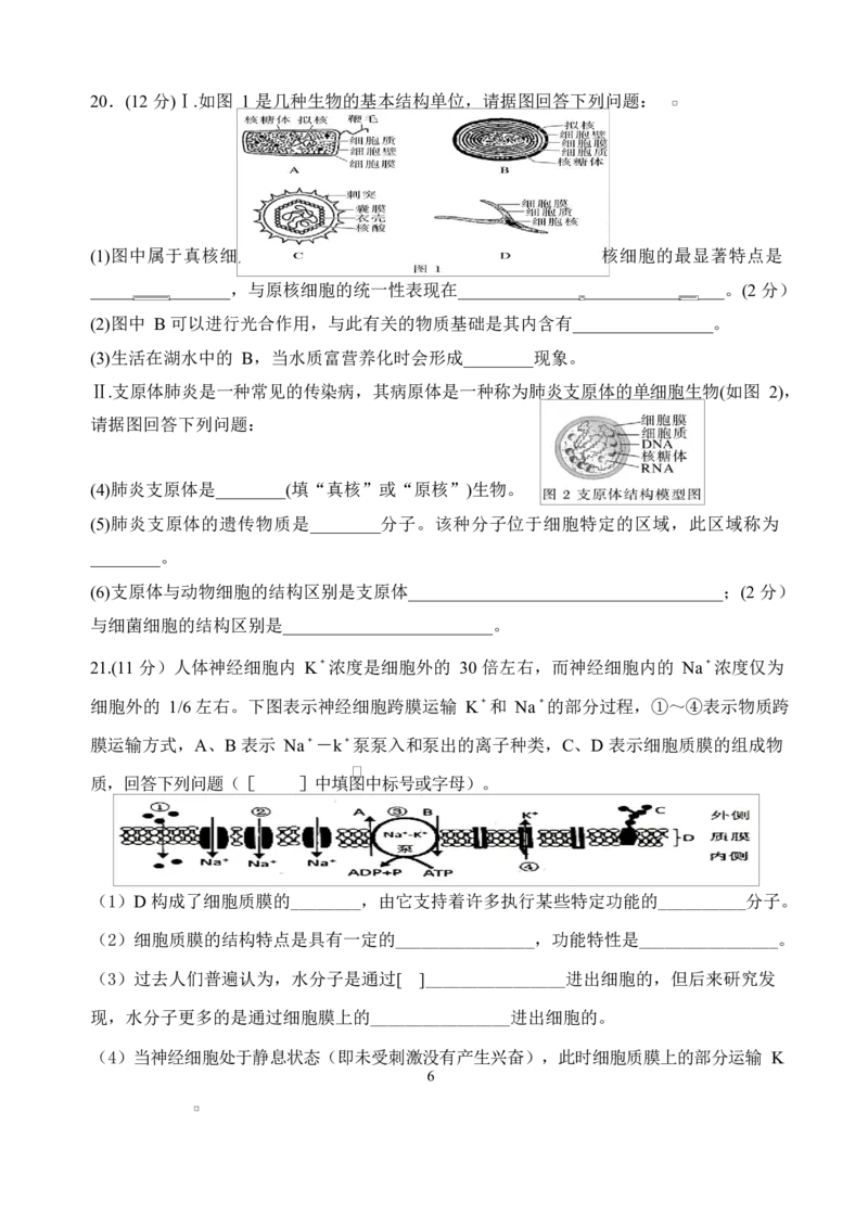 江苏省盐城市五校联考2026届高三上学期10月月考+生物_2025年10月_12026年试卷教辅资源等多个文件_251022江苏省盐城市五校联考2026届高三上学期10月月考（全科）