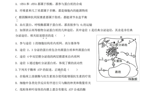 江苏省盐城市五校联考2026届高三上学期10月月考+生物_2025年10月_12026年试卷教辅资源等多个文件_251022江苏省盐城市五校联考2026届高三上学期10月月考（全科）
