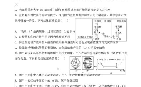 江苏省盐城市五校联考2026届高三上学期10月月考+生物_2025年10月_12026年试卷教辅资源等多个文件_251022江苏省盐城市五校联考2026届高三上学期10月月考（全科）