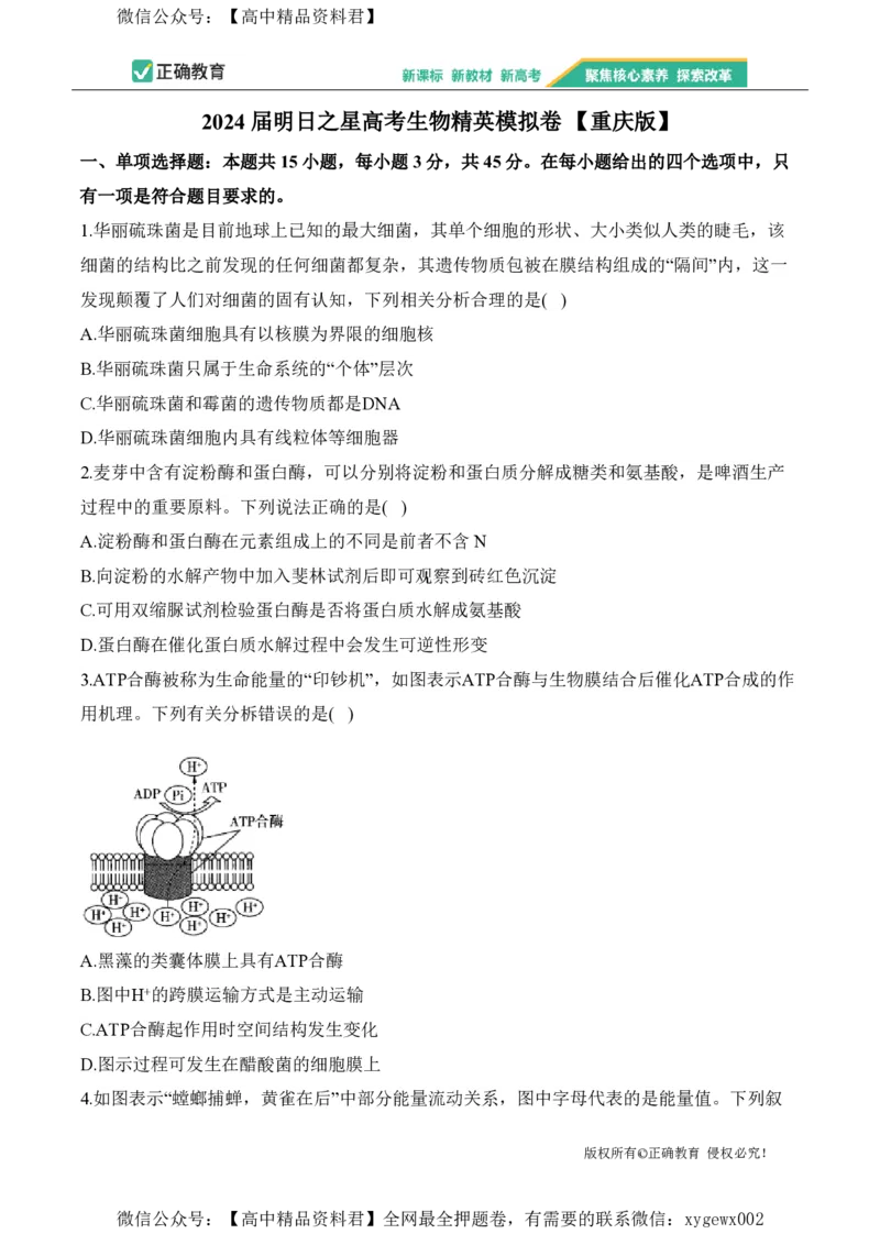 2024届明日之星高考生物精英模拟卷重庆版_2024高考押题卷_72024正确教育全系列_2024明日之星全系列_（新高考）2024《明日之星&middot;高考精英模拟卷》（九科全）各一套
