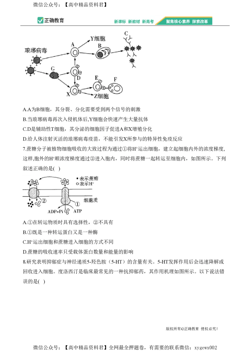 2024届明日之星高考生物精英模拟卷重庆版_2024高考押题卷_72024正确教育全系列_2024明日之星全系列_（新高考）2024《明日之星&middot;高考精英模拟卷》（九科全）各一套