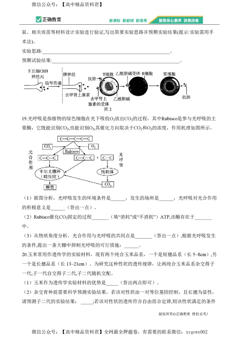 2024届明日之星高考生物精英模拟卷重庆版_2024高考押题卷_72024正确教育全系列_2024明日之星全系列_（新高考）2024《明日之星&middot;高考精英模拟卷》（九科全）各一套
