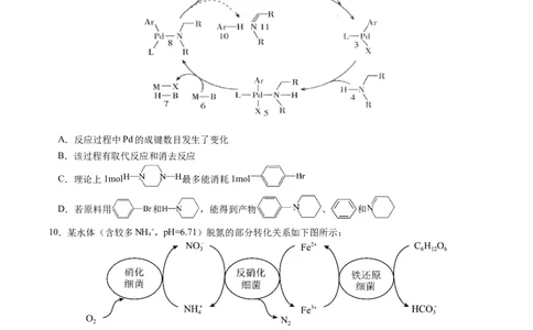 湖北省&ldquo;黄鄂鄂&rdquo;2025年高三下学期4月联考化学_2025年5月_0502湖北省&ldquo;黄鄂鄂&rdquo;2025年高三下学期4月联考（全）