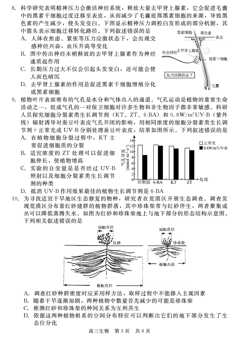 生物_2025年4月_250427河北省NT20名校联合体高三年级第二次调研考试（全科）_NT20名校联合体高三年级第二次调研考试生物