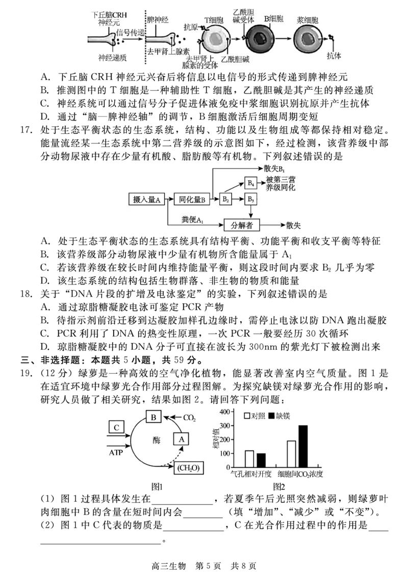 生物_2025年4月_250427河北省NT20名校联合体高三年级第二次调研考试（全科）_NT20名校联合体高三年级第二次调研考试生物