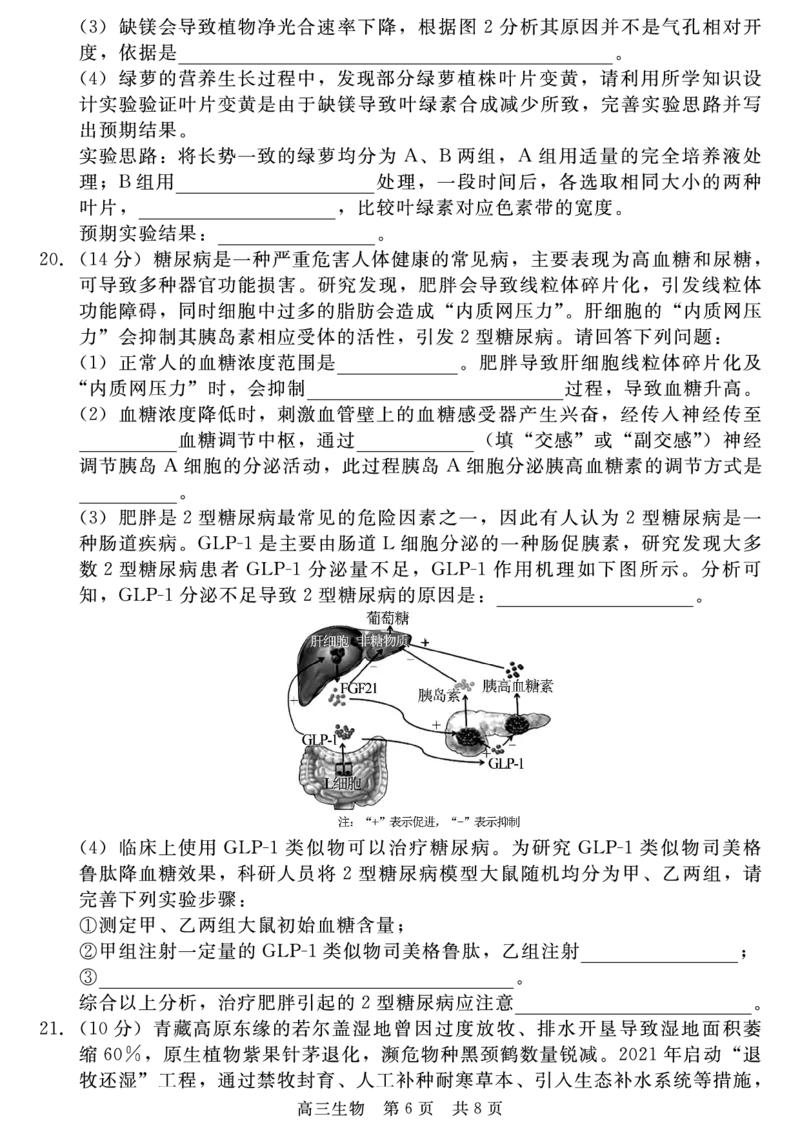 生物_2025年4月_250427河北省NT20名校联合体高三年级第二次调研考试（全科）_NT20名校联合体高三年级第二次调研考试生物