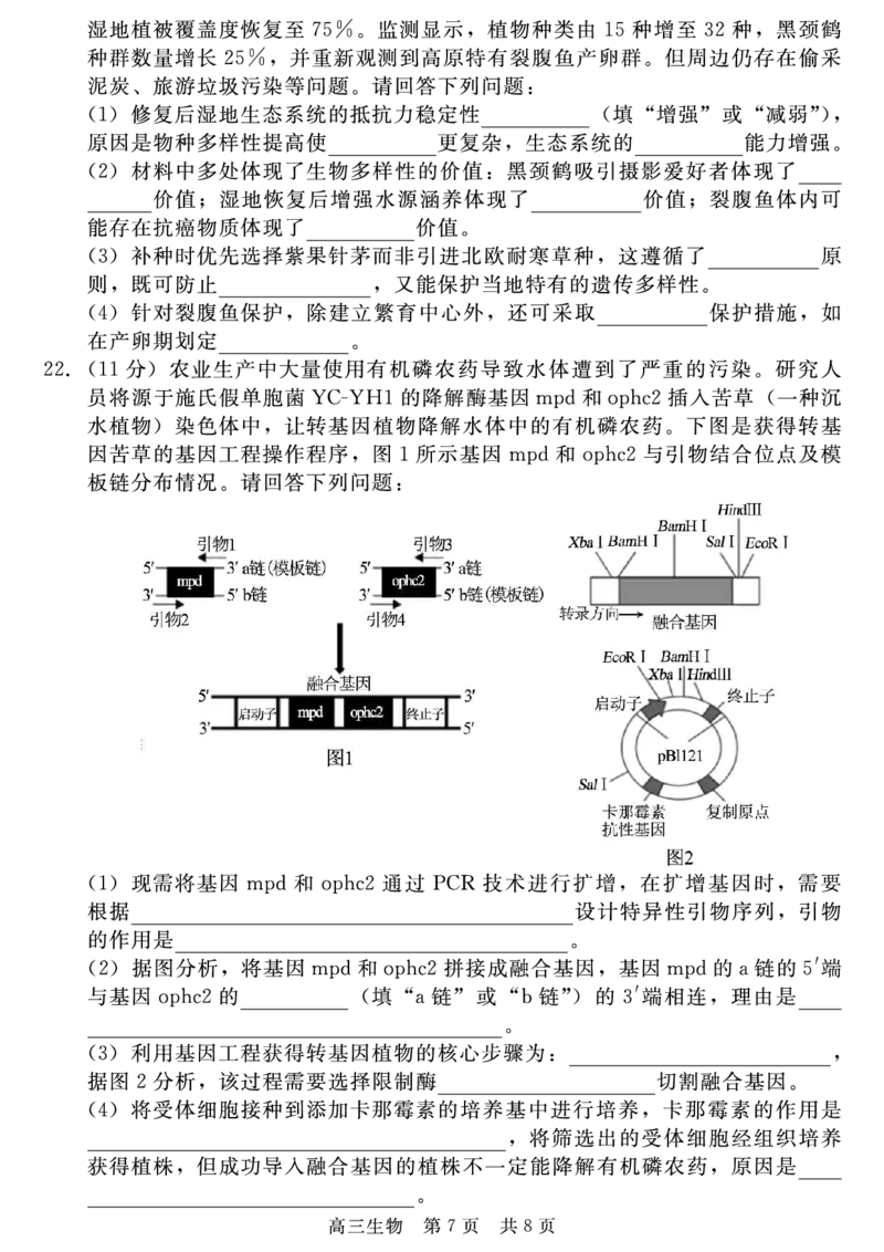 生物_2025年4月_250427河北省NT20名校联合体高三年级第二次调研考试（全科）_NT20名校联合体高三年级第二次调研考试生物