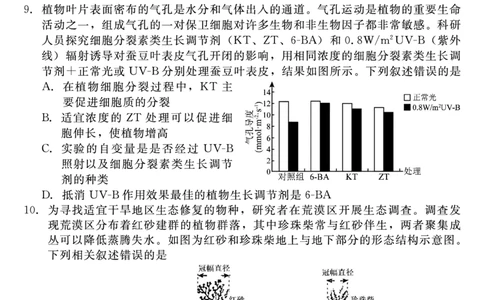 生物_2025年4月_250427河北省NT20名校联合体高三年级第二次调研考试（全科）_NT20名校联合体高三年级第二次调研考试生物