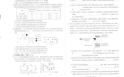 生物_2025年11月_251127山西省2025-2026学年（上）高三年级天一小高考（一）（全科）_山西省2025-2026学年（上）高三年级天一小高考（一）生物