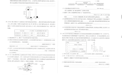 生物_2025年11月_251127山西省2025-2026学年（上）高三年级天一小高考（一）（全科）_山西省2025-2026学年（上）高三年级天一小高考（一）生物