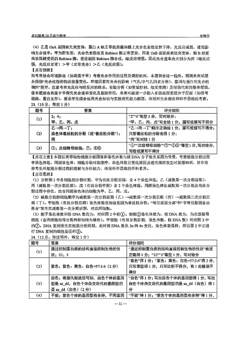 生物答案-辽宁点石联考2025-2026学年高三10月联合考试_2025年10月_251012辽宁省点石联考2025-2026学年度上学期高三10月份联合考试（全科）_辽宁点石联考2025-2026学年高三10月联合考试生物