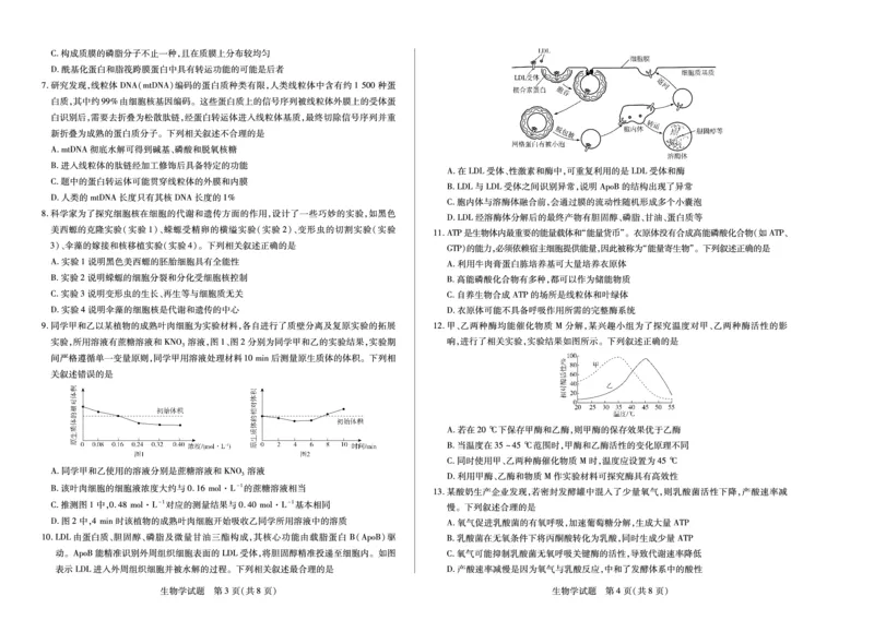 河南省2025&mdash;2026学年（上）高三阶段性检测生物_2025年10月_251021天一大联考&middot;河南省2025&mdash;2026学年（上）高三阶段性检测（全科）