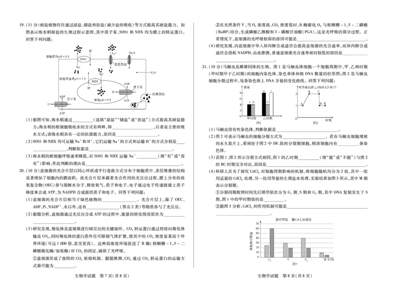 河南省2025&mdash;2026学年（上）高三阶段性检测生物_2025年10月_251021天一大联考&middot;河南省2025&mdash;2026学年（上）高三阶段性检测（全科）