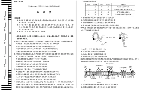 河南省2025&mdash;2026学年（上）高三阶段性检测生物_2025年10月_251021天一大联考&middot;河南省2025&mdash;2026学年（上）高三阶段性检测（全科）