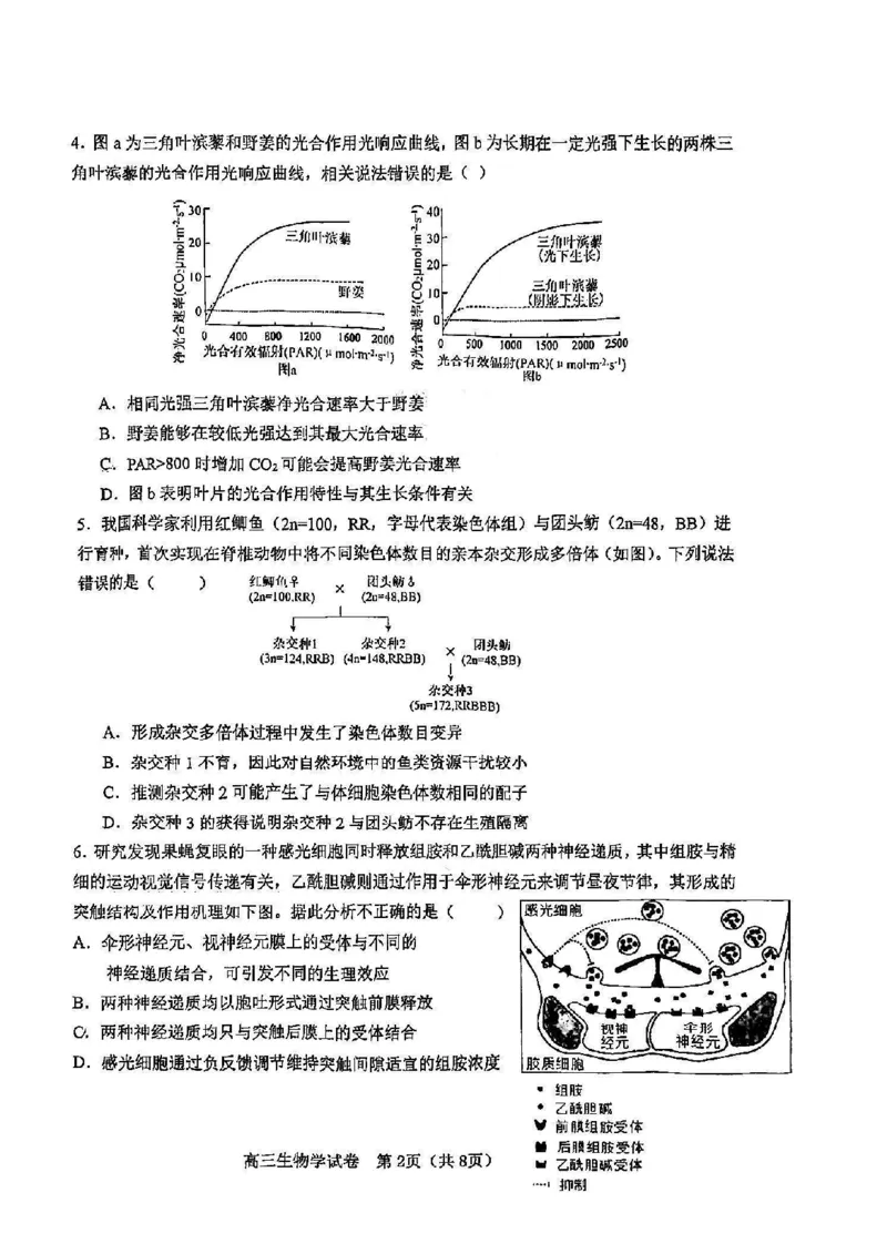 天津市河东区2024-2025学年高三上学期期末质量检测生物+答案_2025年1月_250113天津市河东区2024-2025学年高三上学期期末质量检测（全科）