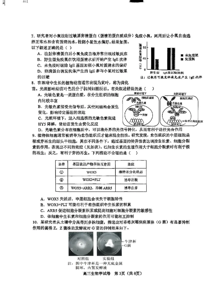 天津市河东区2024-2025学年高三上学期期末质量检测生物+答案_2025年1月_250113天津市河东区2024-2025学年高三上学期期末质量检测（全科）