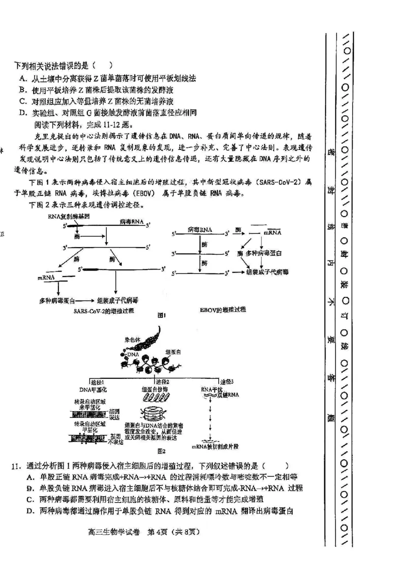 天津市河东区2024-2025学年高三上学期期末质量检测生物+答案_2025年1月_250113天津市河东区2024-2025学年高三上学期期末质量检测（全科）
