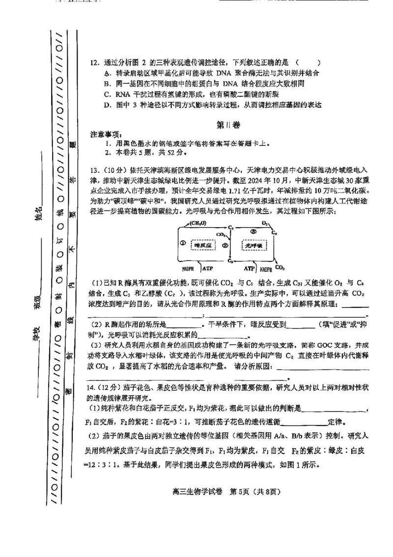 天津市河东区2024-2025学年高三上学期期末质量检测生物+答案_2025年1月_250113天津市河东区2024-2025学年高三上学期期末质量检测（全科）