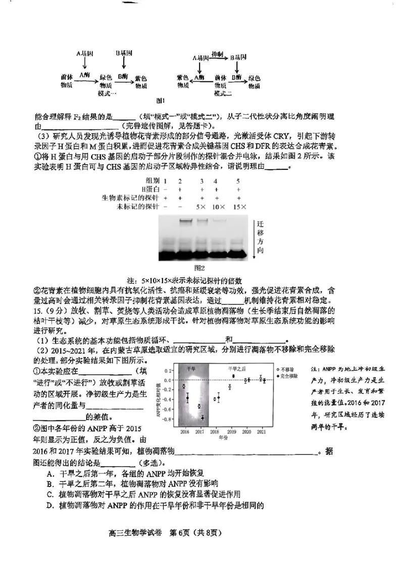 天津市河东区2024-2025学年高三上学期期末质量检测生物+答案_2025年1月_250113天津市河东区2024-2025学年高三上学期期末质量检测（全科）