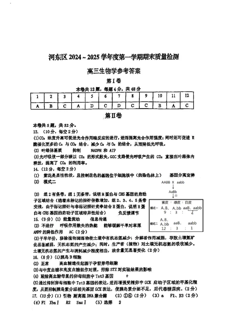 天津市河东区2024-2025学年高三上学期期末质量检测生物+答案_2025年1月_250113天津市河东区2024-2025学年高三上学期期末质量检测（全科）