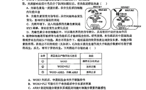 天津市河东区2024-2025学年高三上学期期末质量检测生物+答案_2025年1月_250113天津市河东区2024-2025学年高三上学期期末质量检测（全科）