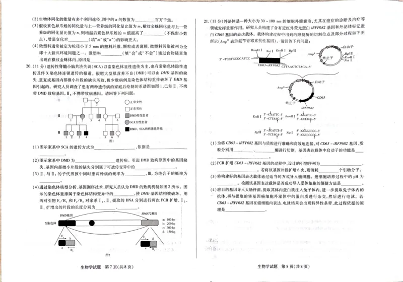 河南省安阳市2025届高三上学期第一次模拟考试（安阳一模）生物_2025年1月_250125河南省安阳市2025届高三上学期第一次模拟考试（安阳一模）（全科）