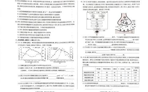 河南省安阳市2025届高三上学期第一次模拟考试（安阳一模）生物_2025年1月_250125河南省安阳市2025届高三上学期第一次模拟考试（安阳一模）（全科）