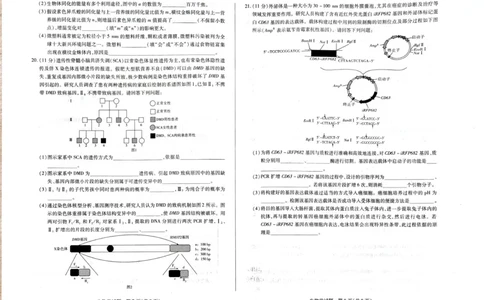 河南省安阳市2025届高三上学期第一次模拟考试（安阳一模）生物_2025年1月_250125河南省安阳市2025届高三上学期第一次模拟考试（安阳一模）（全科）