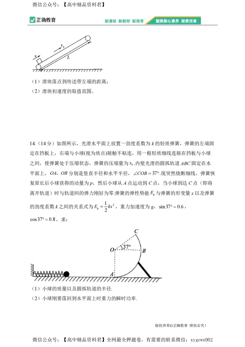 2024届明日之星高考物理精英模拟卷安徽版_2024高考押题卷_72024正确教育全系列_2024明日之星全系列_（新高考）2024《明日之星&middot;高考精英模拟卷》（九科全）各一套