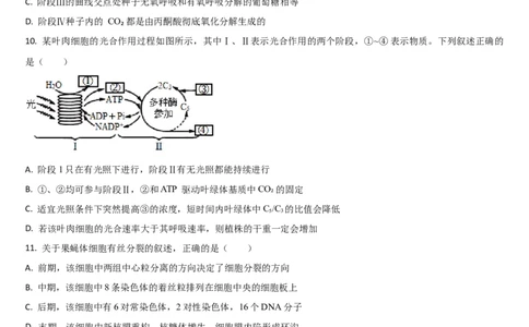 吉林省通化市梅河口市第五中学2024-2025学年高二下学期7月期末生物试题（含答案）_2025年8月_250804吉林省通化市梅河口市第五中学2024-2025学年高二下学期7月期末考试（全科）