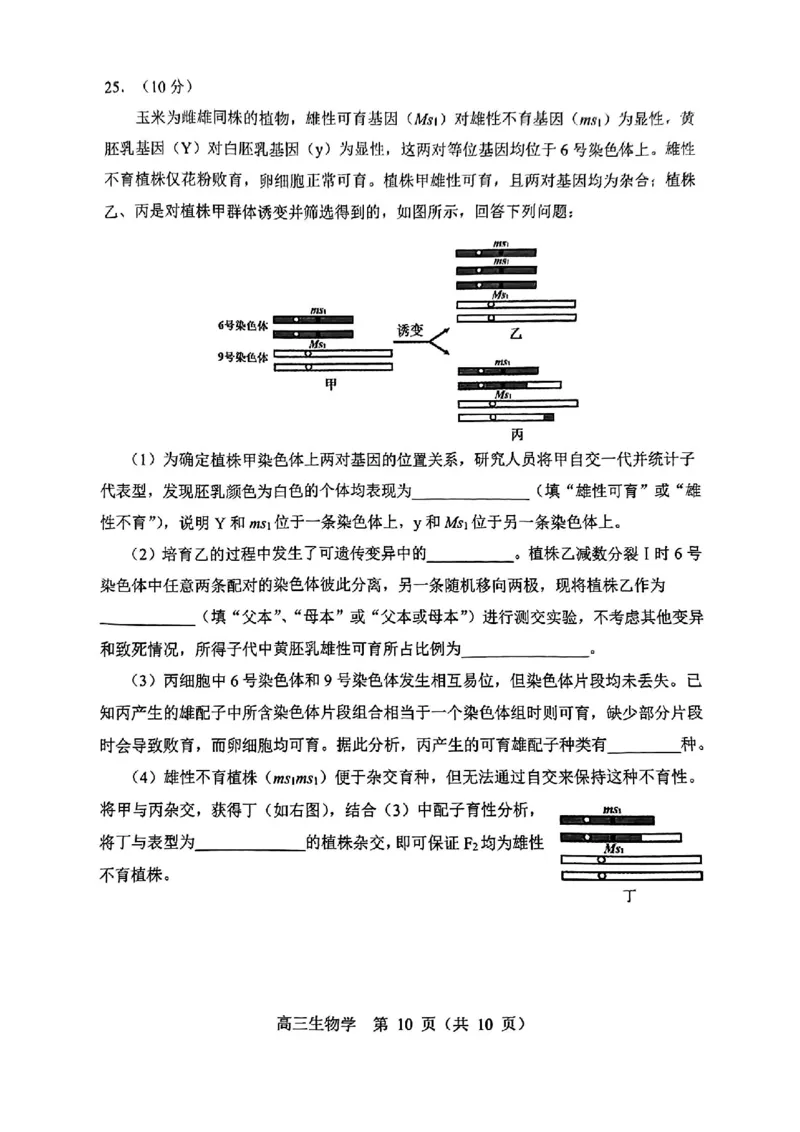 沈阳一模生物试卷_2025年1月_250109辽宁省沈阳市2025届高三上学期教学质量监测（一）_辽宁省沈阳市2025届高三上学期教学质量监测（一）生物