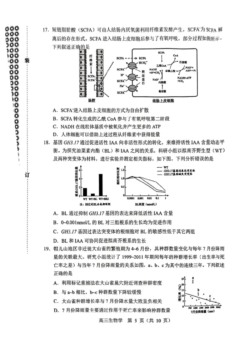 沈阳一模生物试卷_2025年1月_250109辽宁省沈阳市2025届高三上学期教学质量监测（一）_辽宁省沈阳市2025届高三上学期教学质量监测（一）生物
