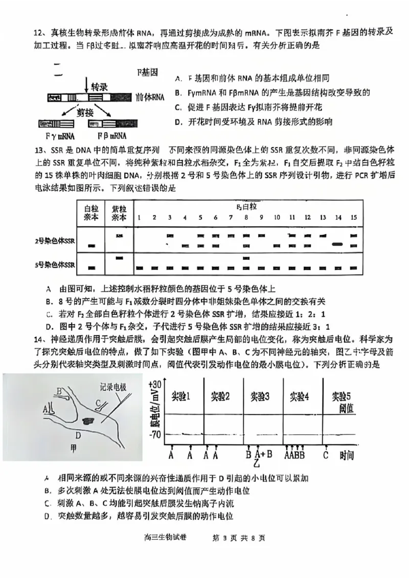 生物试卷_2025年2月_250201福建省福州市福建师范大学附属中学2025届高三上学期期末考试试题_福建省福建师范大学附属中学2024-2025学年高三上学期1月期末生物试题